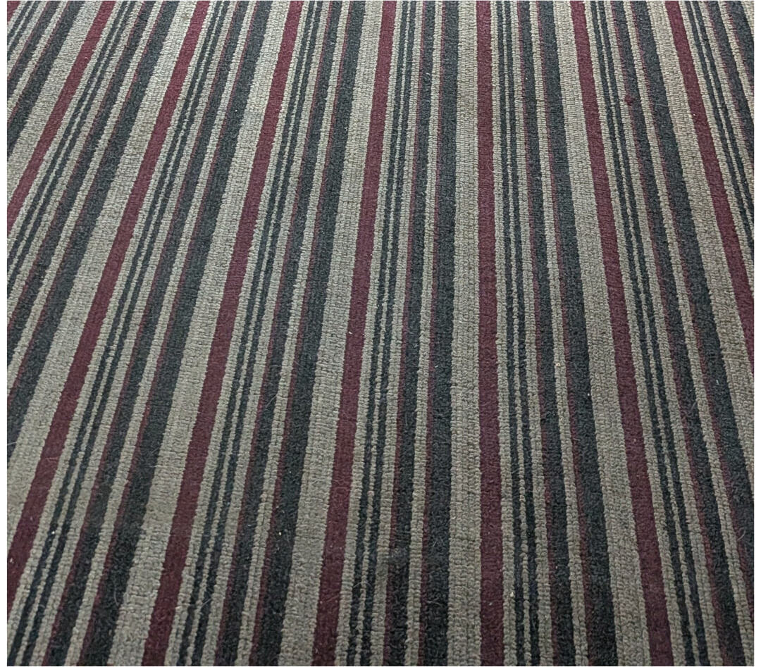 Striped carpet before professional deep cleaning